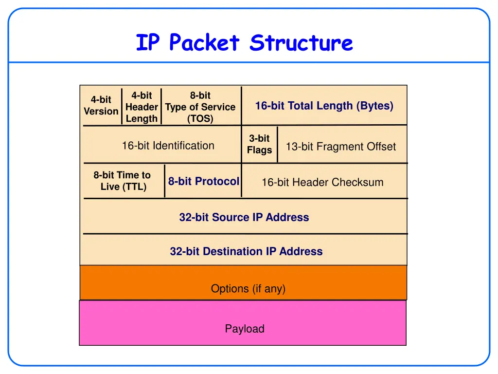 ip packet structure