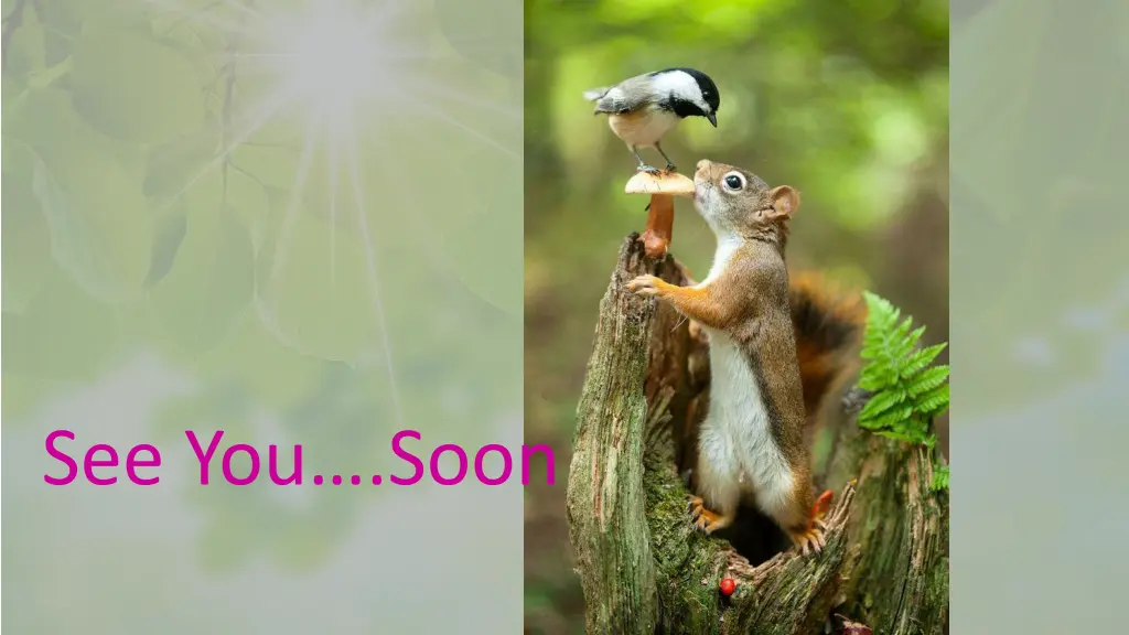 see you soon