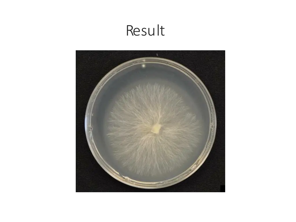 result