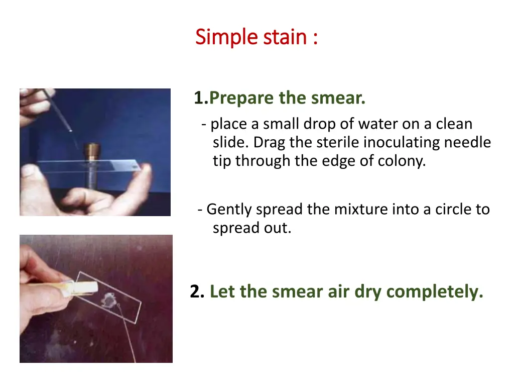 simple stain simple stain 2