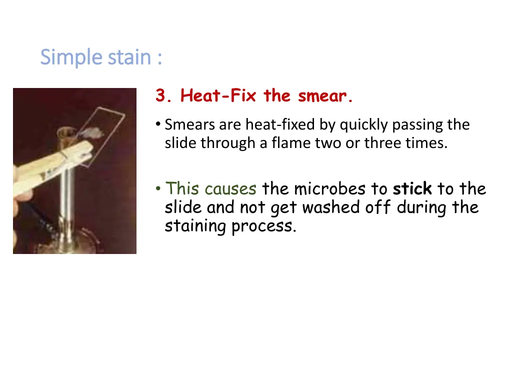 simple stain simple stain 3