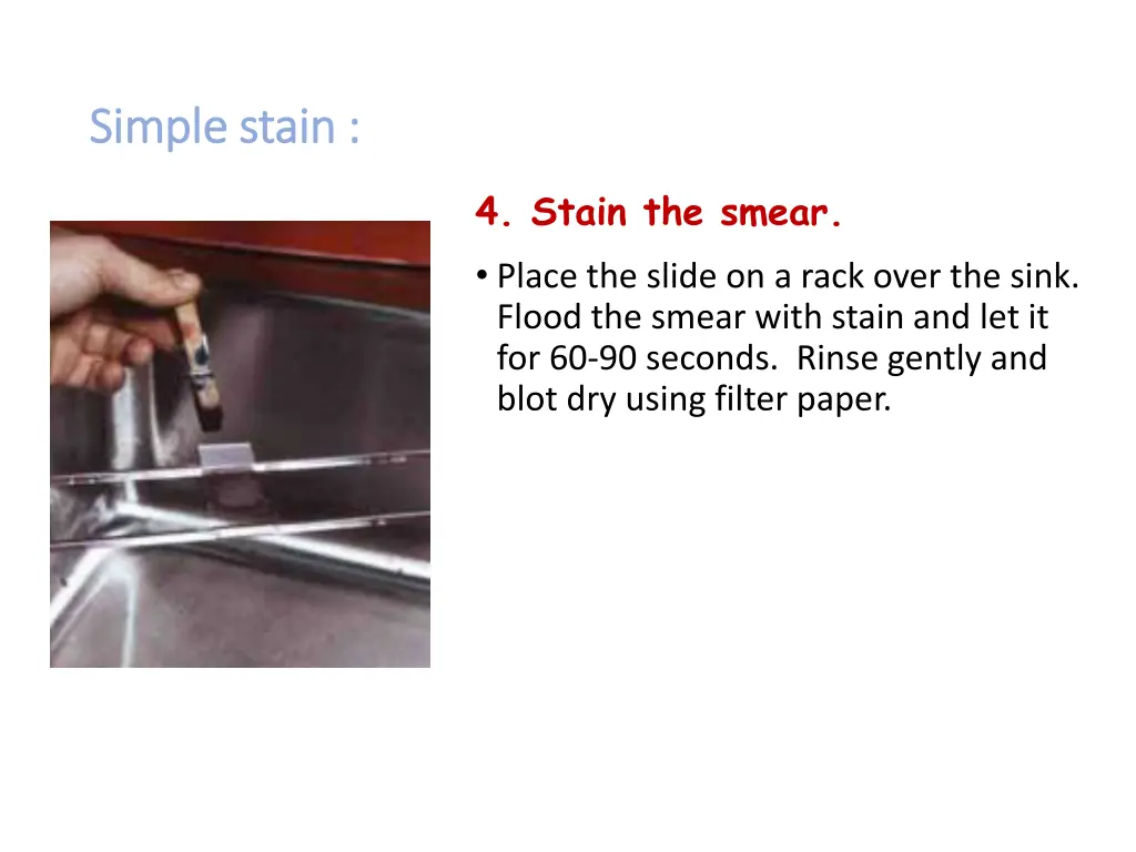 simple stain simple stain 4