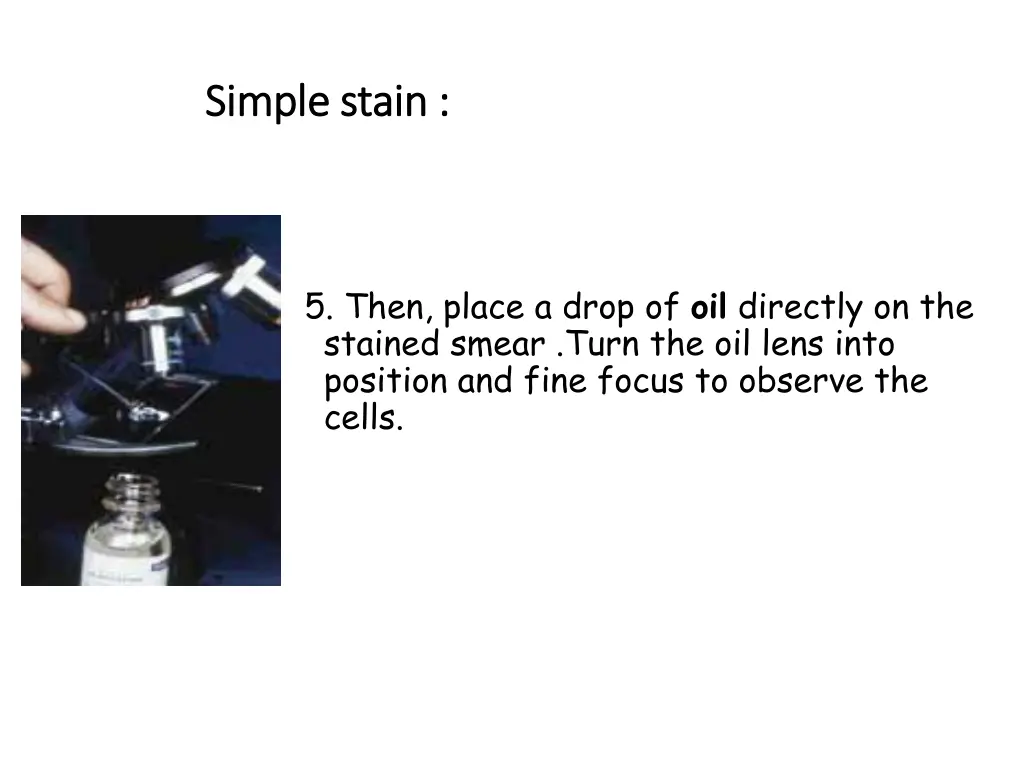simple stain simple stain 5