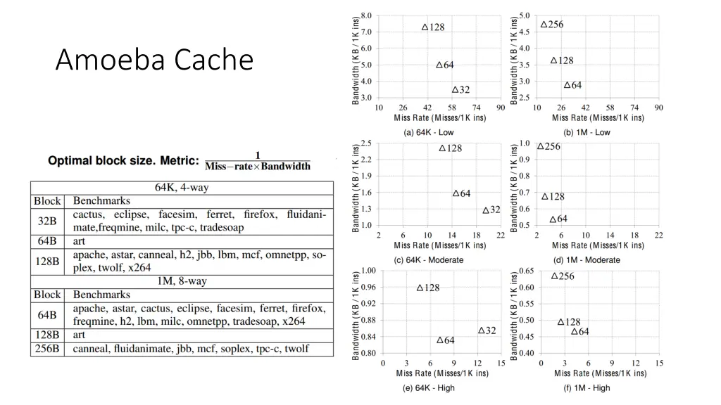 amoeba cache 1