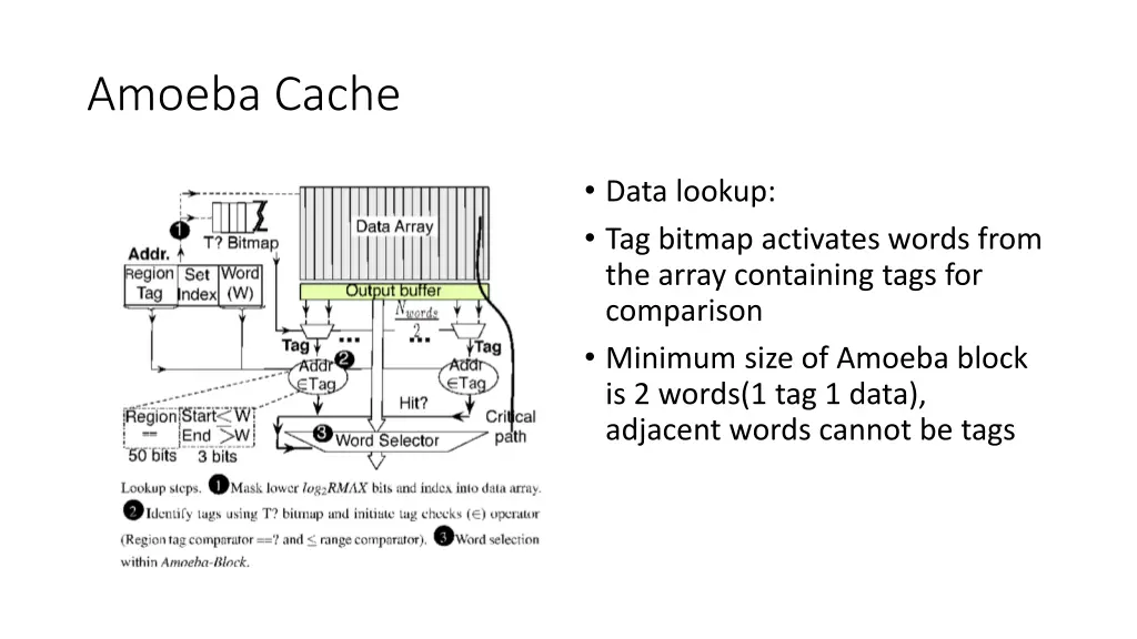 amoeba cache 4