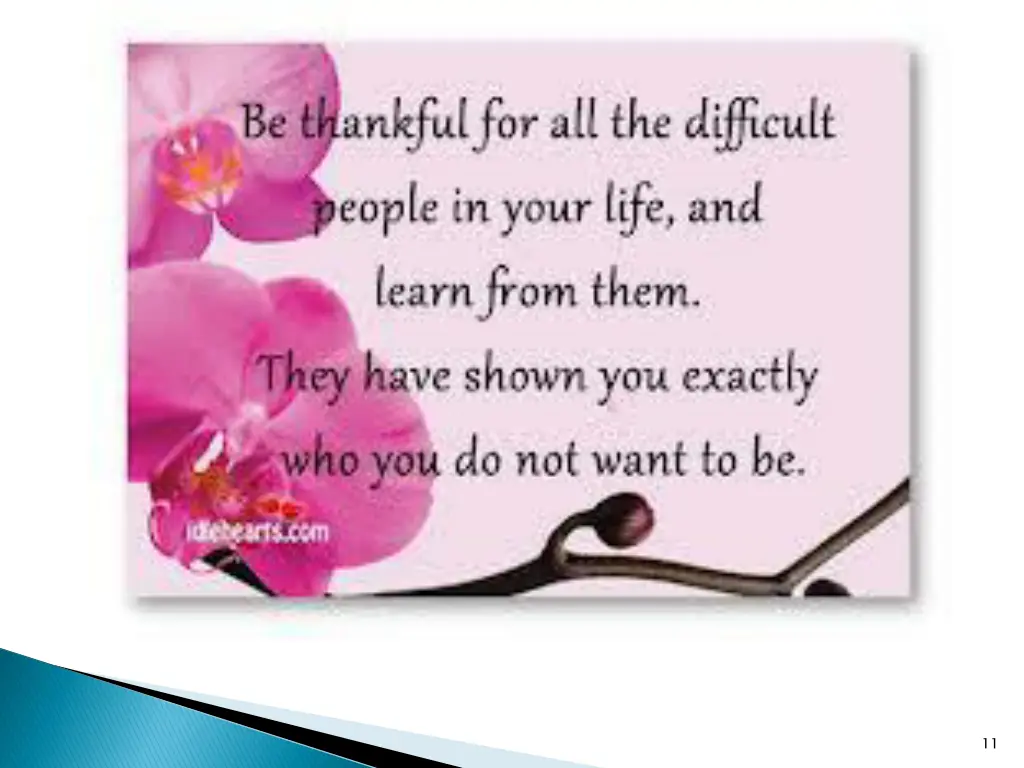 slide11