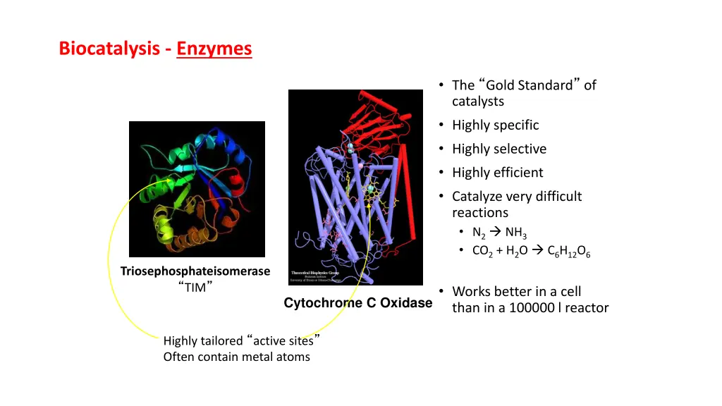 biocatalysis enzymes