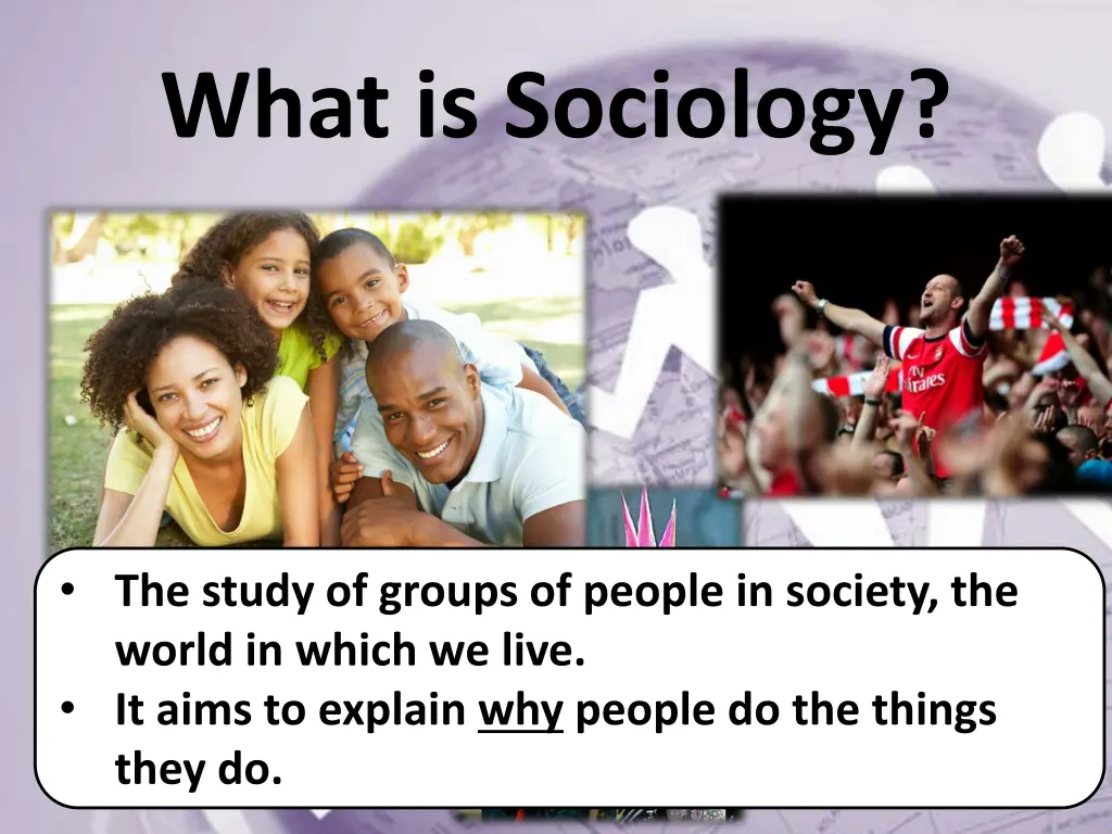 what is sociology