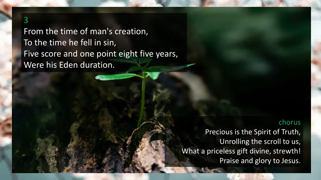 3 from the time of man s creation to the time