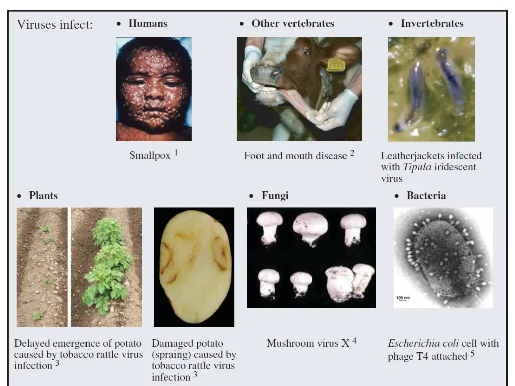 slide2