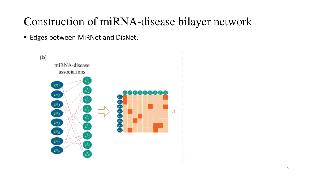 construction of mirna disease bilayer network 2
