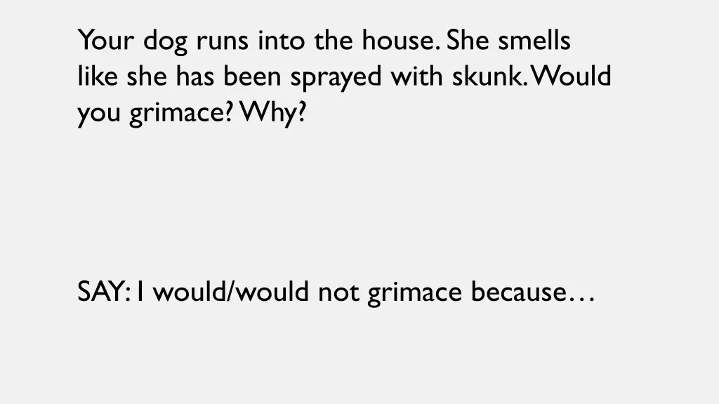 your dog runs into the house she smells like