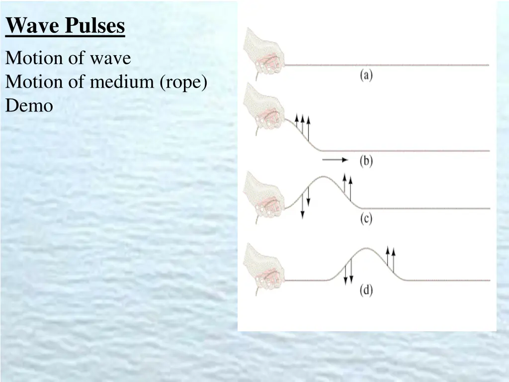 wave pulses motion of wave motion of medium rope