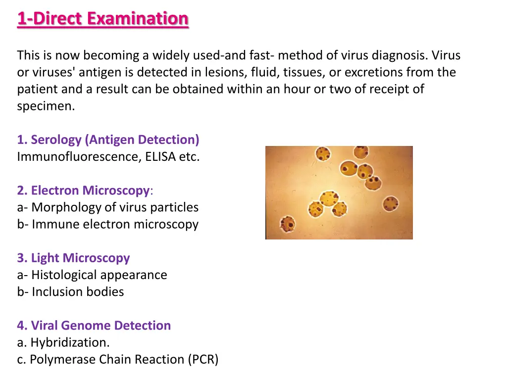 1 direct examination