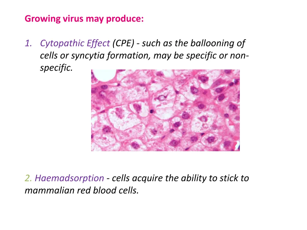 growing virus may produce
