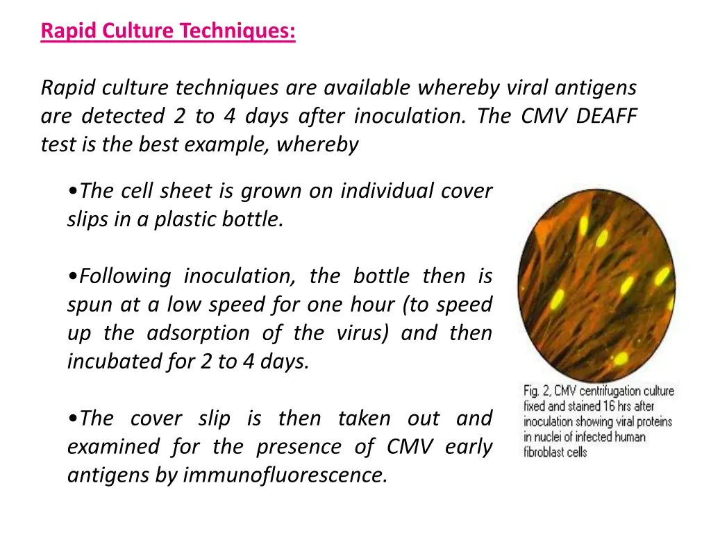 rapid culture techniques