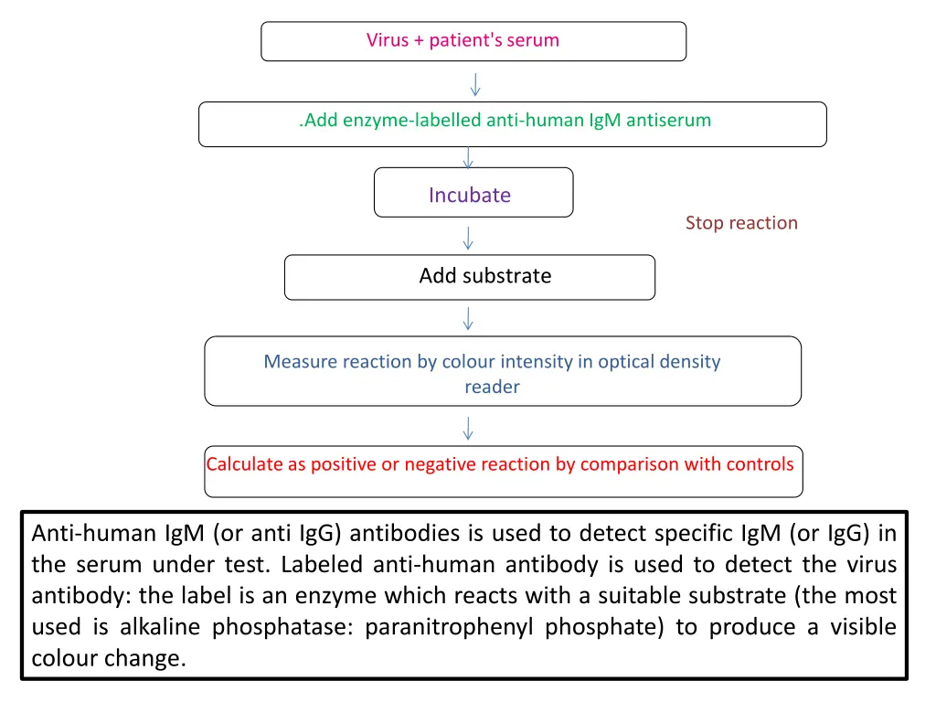 virus patient s serum