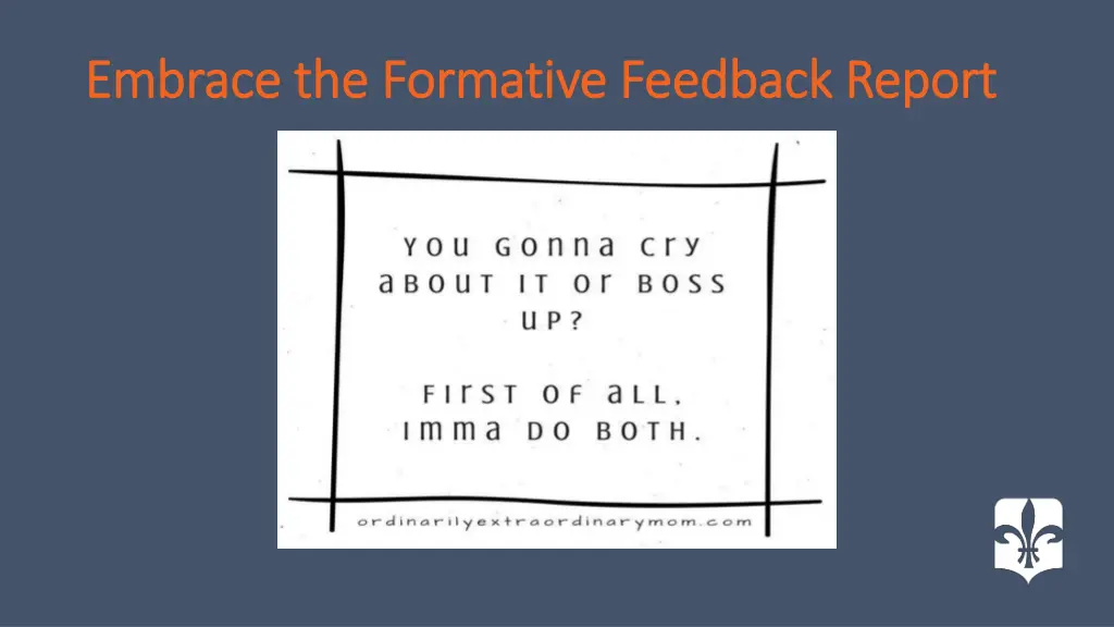 embrace the formative feedback report embrace