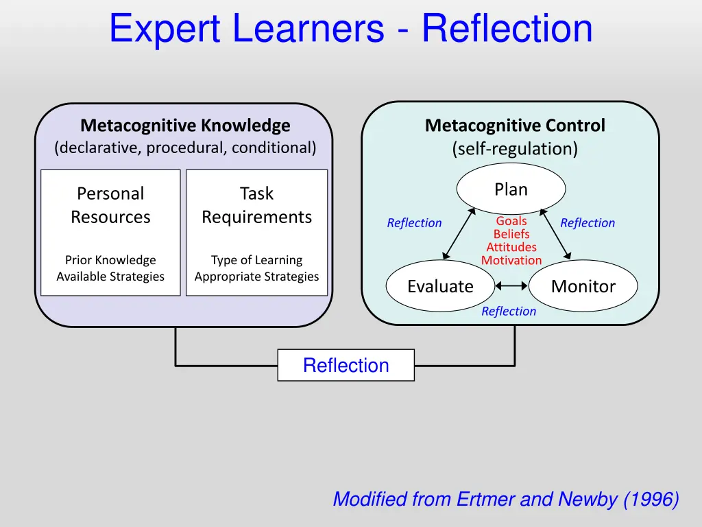 expert learners reflection
