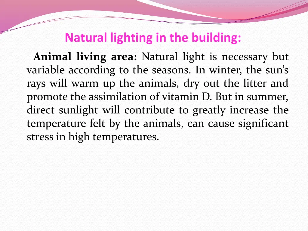 natural lighting in the building