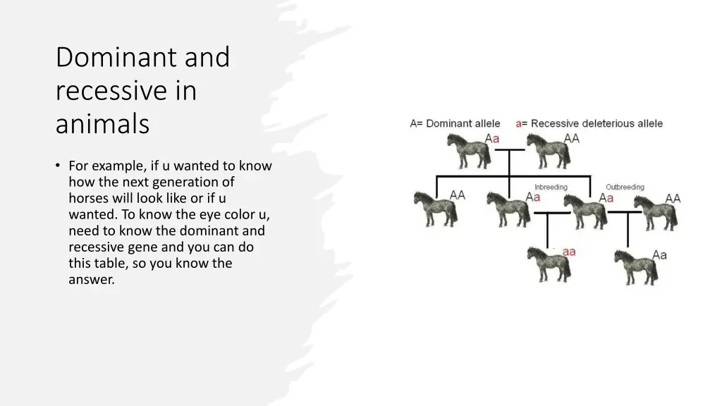 dominant and recessive in animals