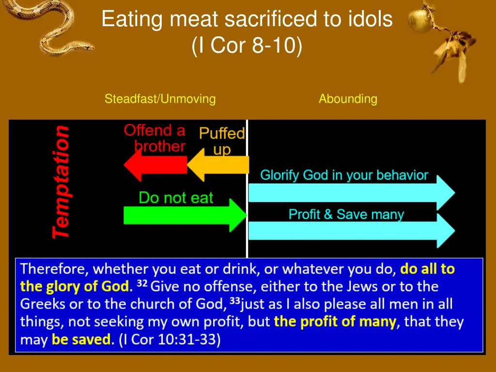 eating meat sacrificed to idols i cor 8 10