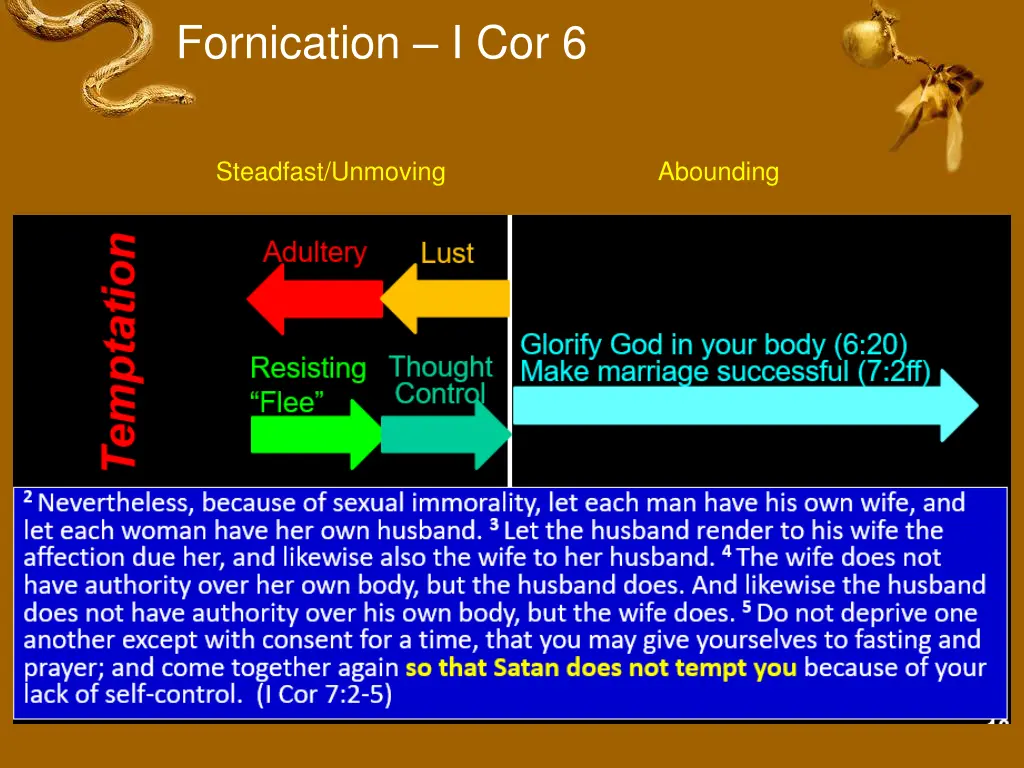 fornication i cor 6