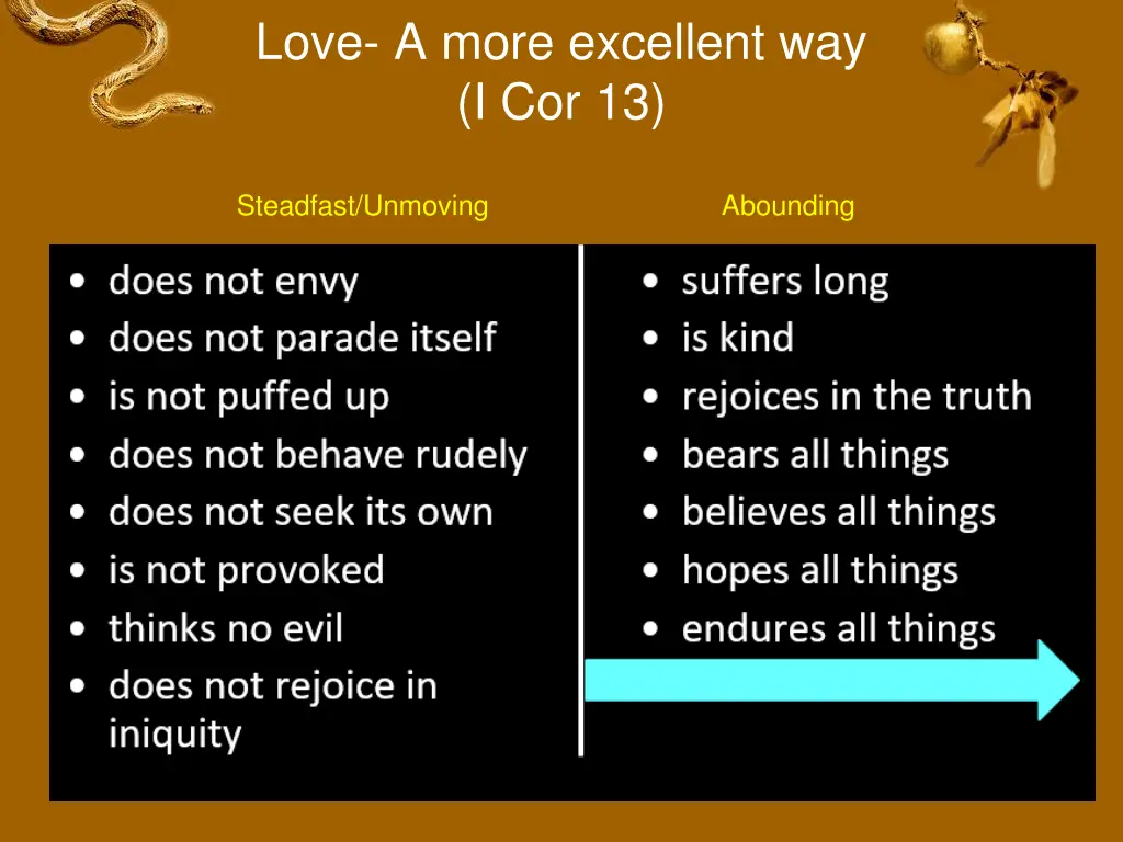 love a more excellent way i cor 13