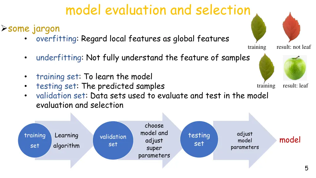 model evaluation and selection