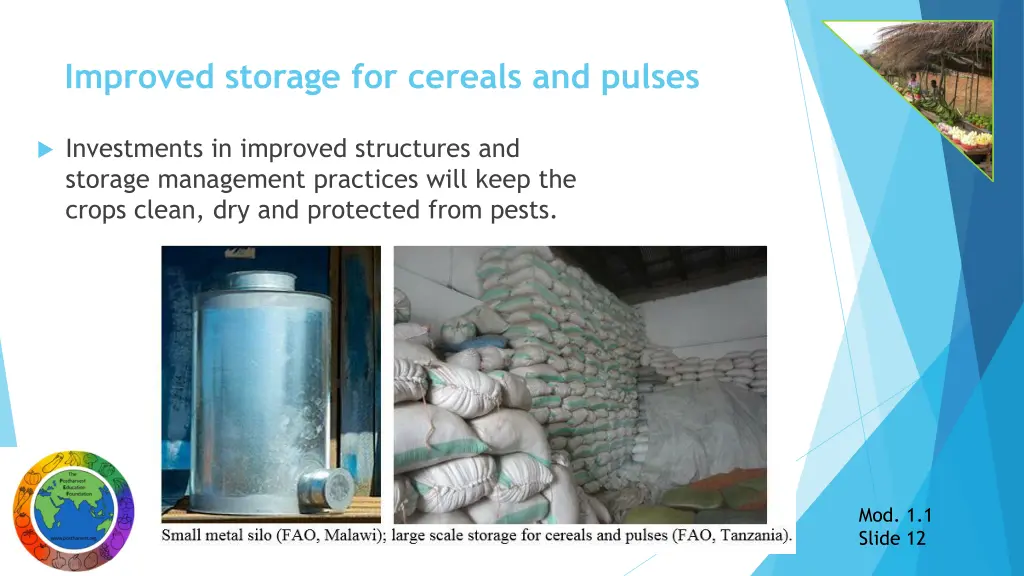 improved storage for cereals and pulses