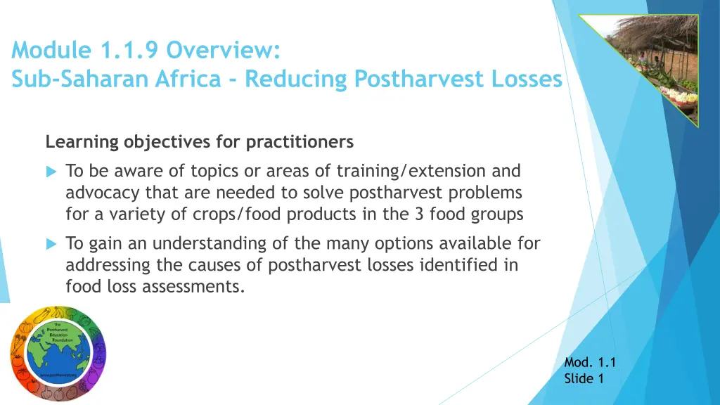 module 1 1 9 overview sub saharan africa reducing