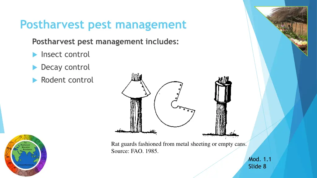 postharvest pest management