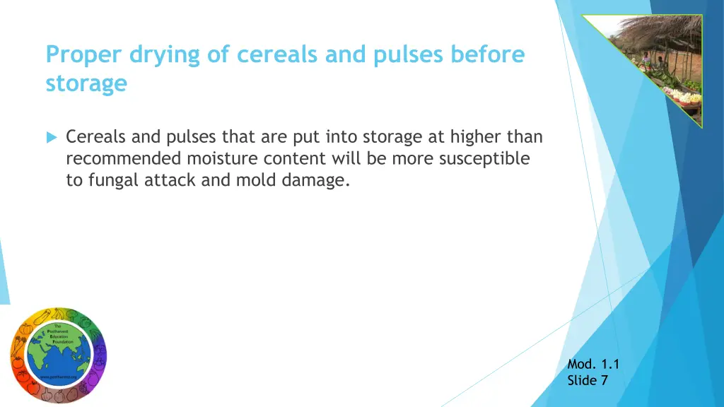 proper drying of cereals and pulses before storage