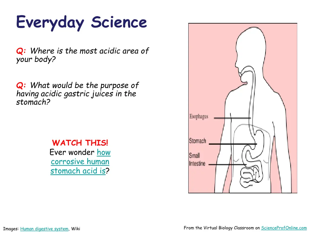 everyday science