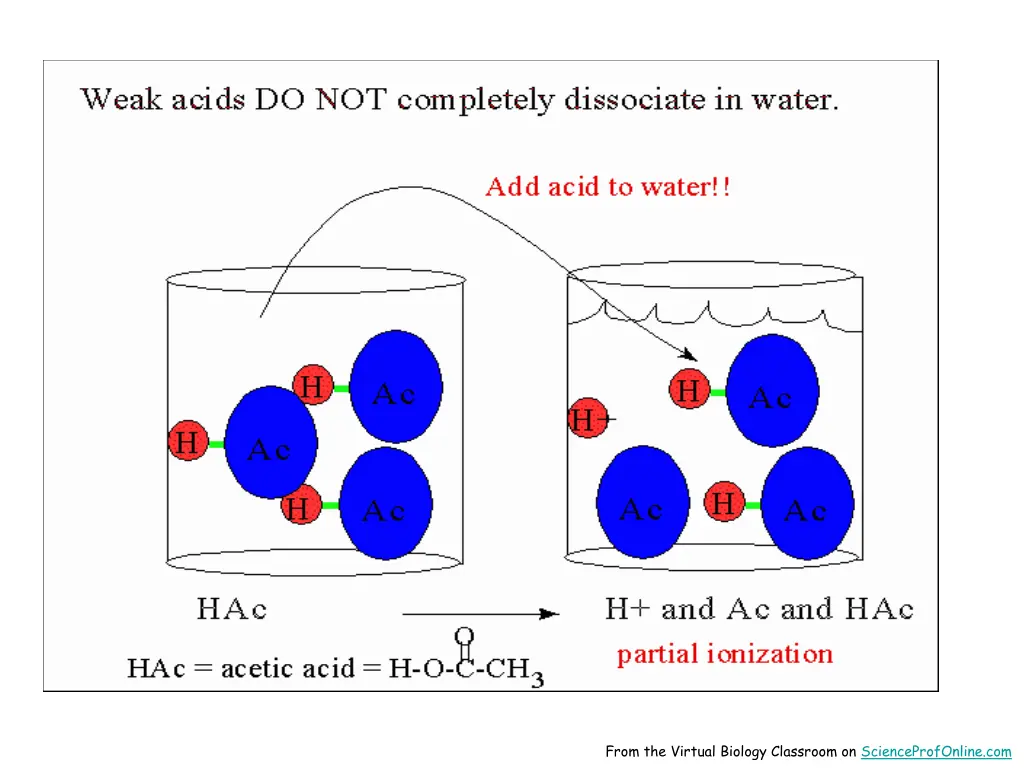from the virtual biology classroom 1