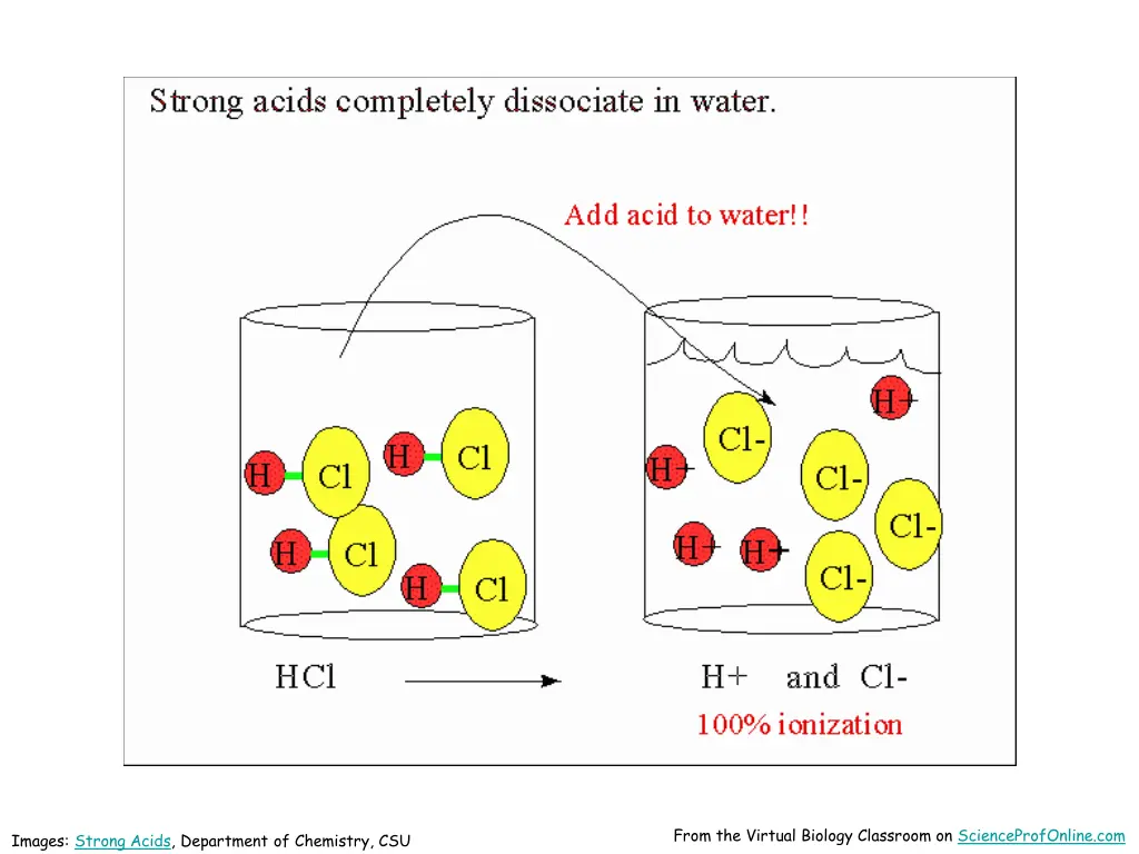 from the virtual biology classroom
