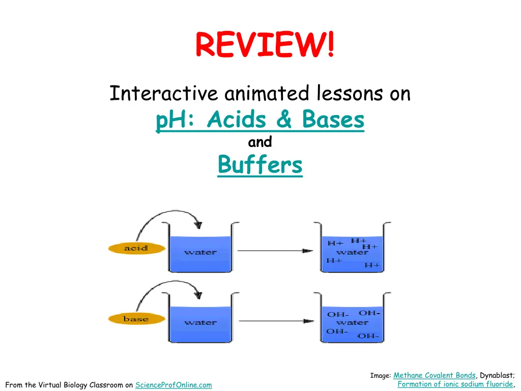review