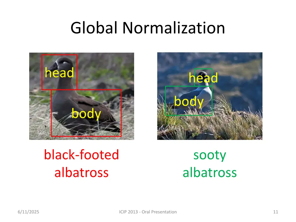 global normalization 1