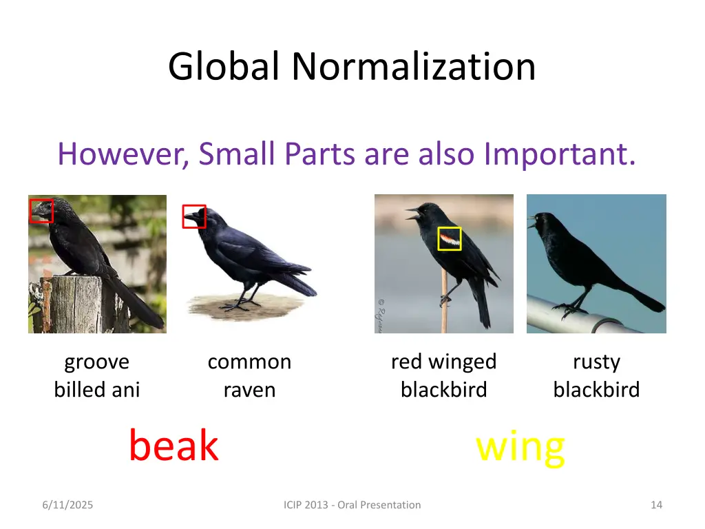 global normalization 4