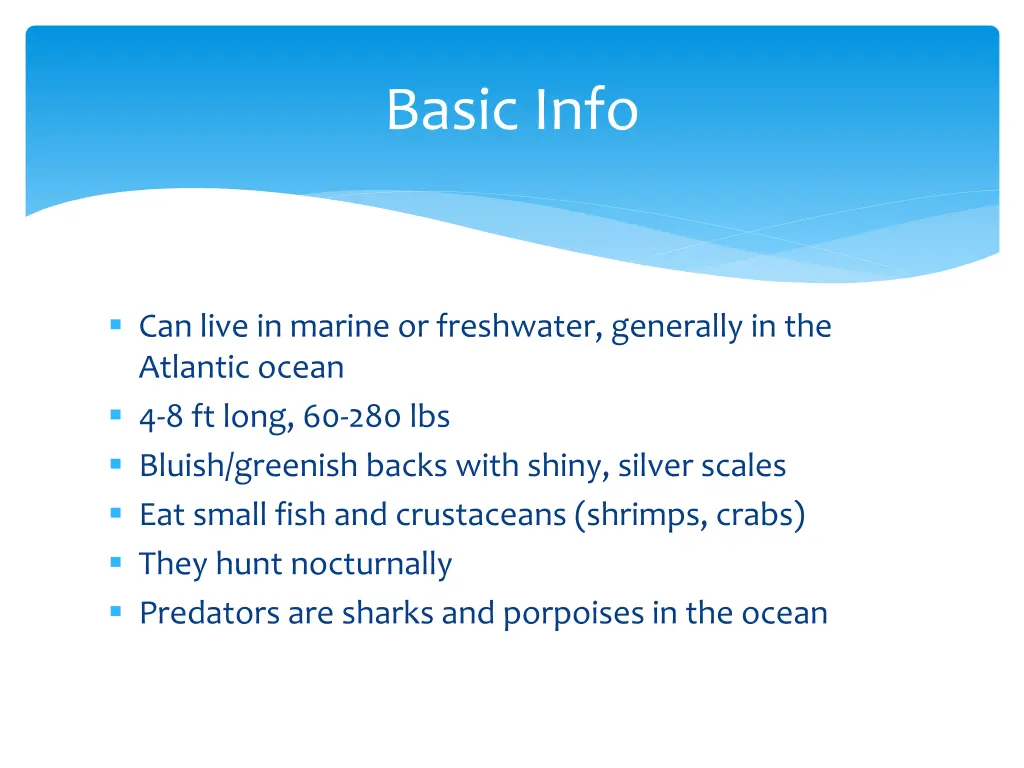 basic info 1