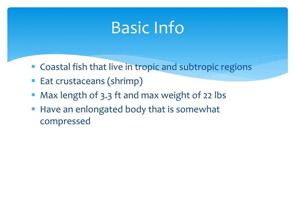 basic info