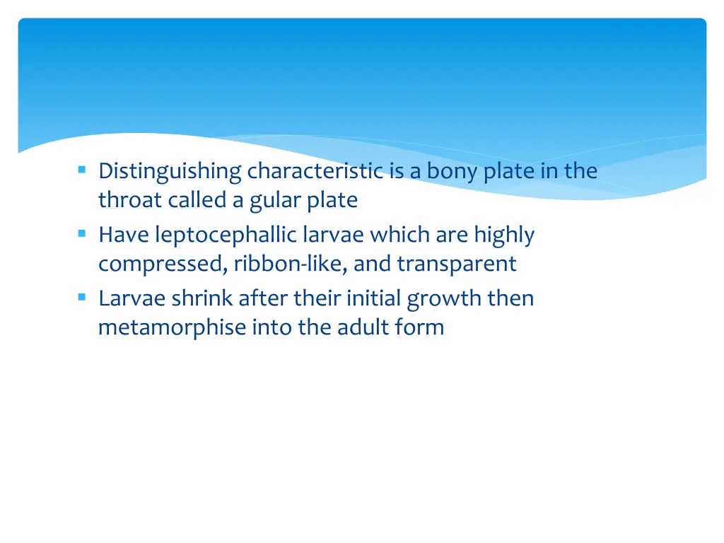 distinguishing characteristic is a bony plate