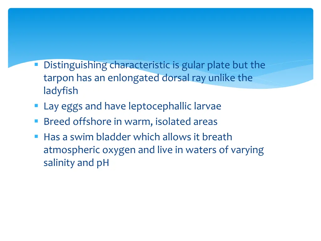 distinguishing characteristic is gular plate