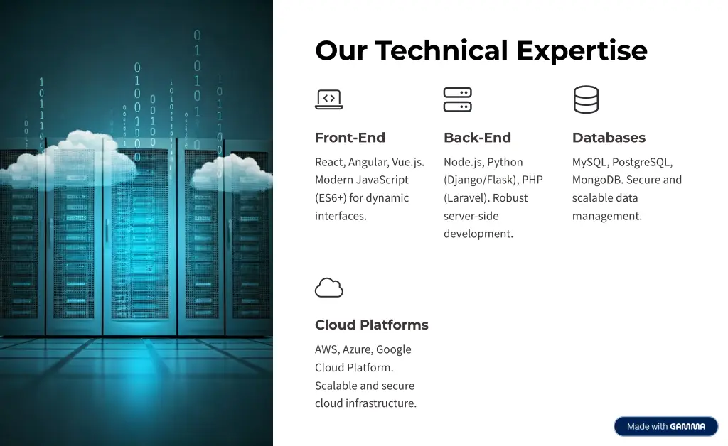 our technical expertise