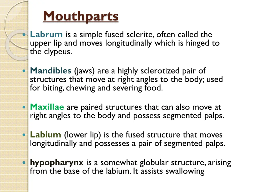 mouthparts