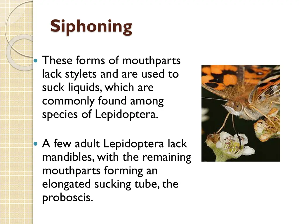 siphoning