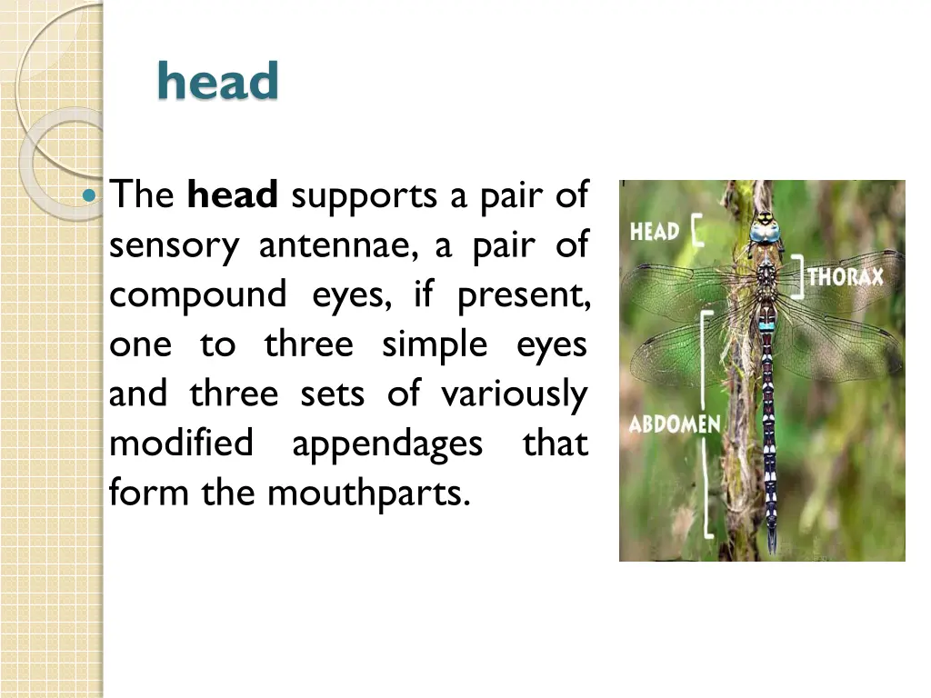 slide3