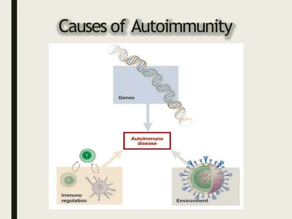 causes of autoimmunity