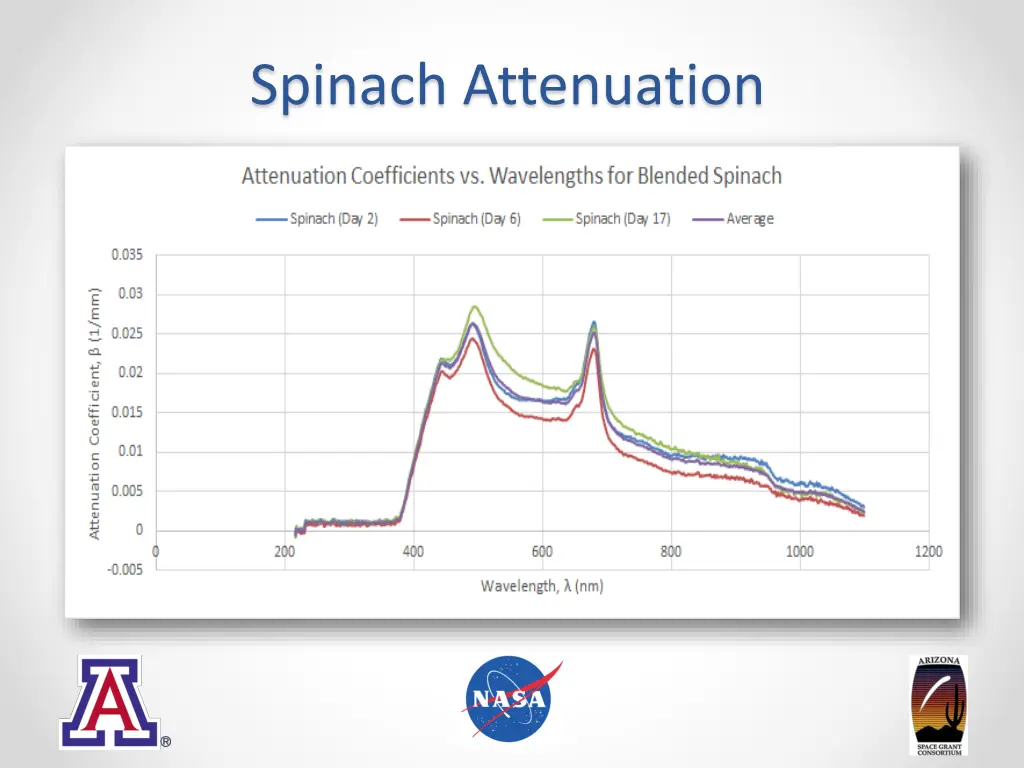 spinach attenuation
