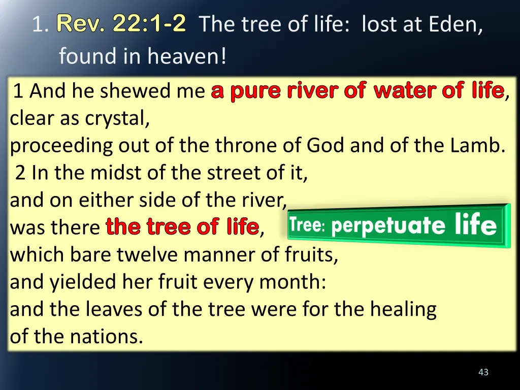 1 rev 22 1 rev 22 1 2 found in heaven 1